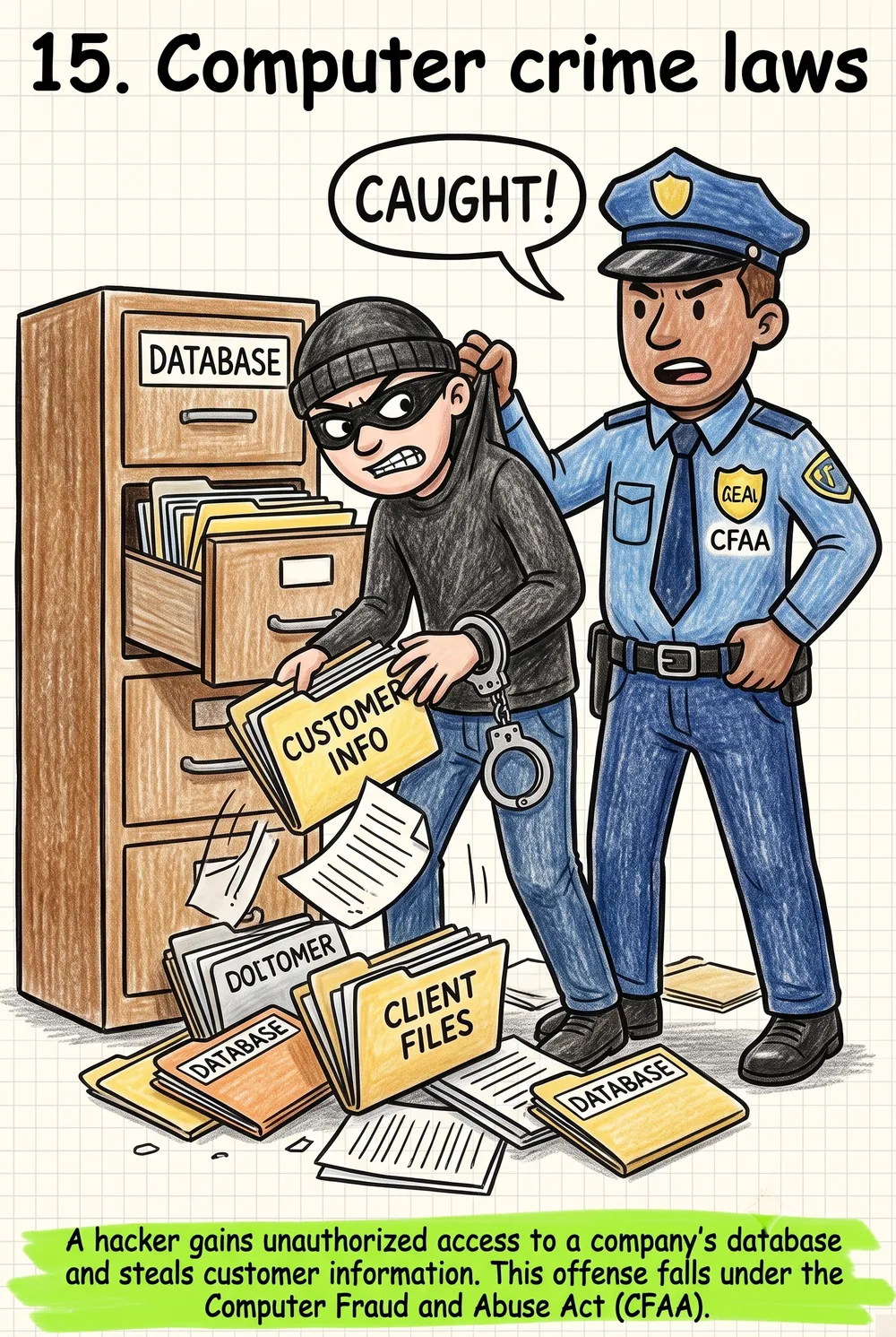 15. Computer crime laws